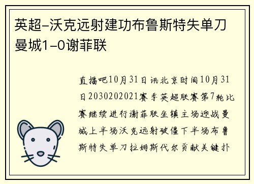 英超-沃克远射建功布鲁斯特失单刀 曼城1-0谢菲联